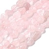 Natural Rose Quartz Beads Strands G-P601-A05-02-2