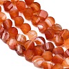 Natural Banded Agate Beads Strands G-P611-C09-01-4