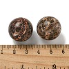 Natural Leopard Skin Jasper Round Ball Figurines Statues for Home Office Desktop Decoration G-P532-02A-20-3