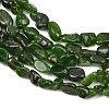Natural Green Diopside Beads Strands G-G464-A01-01-4