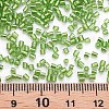 Glass Bugle Beads SEED-S032-08A-49A-4