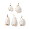 Natural Conch Shell Pendants PALLOY-JF02808-02-1