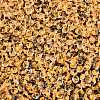 6/0 Inside Colours Transparent Glass Seed Beads X1-SEED-T007-07F-2