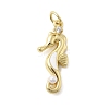 Brass Micro Pave Cubic Zirconia Pendants KK-A278-04G-03-1