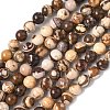 Natural Australian Agate Round Bead Strands G-M272-02-8mm-5