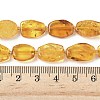 Natural Amber Beads Strands G-L095-C01-05-5