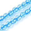 Handmade Lampwork Beads Strands LAMP-N028-20B-1