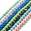 Synthetic Turquoise and Sea Shell Assembled Beads Strands G-D482-01C-1