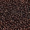 TOHO 8/0 Round Beads SEED-XTR08-0501-2