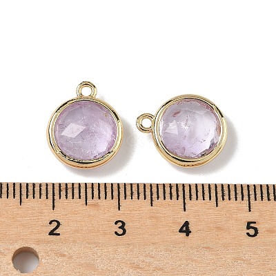 Natural Amethyst Faceted Flat Round Charms G-U028-03G-09-1
