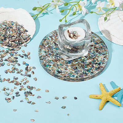 1 Bags Abalone Shell Flakes Cabochons SHEL-GA0001-17A-1