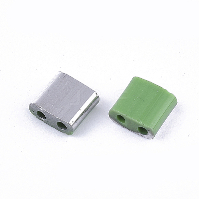 FGB 2-Hole Glass Seed Beads LS-X-SEED-S031-L-047-K-1