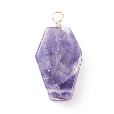 Natural Gemstone Pendants PALLOY-JF01403-1