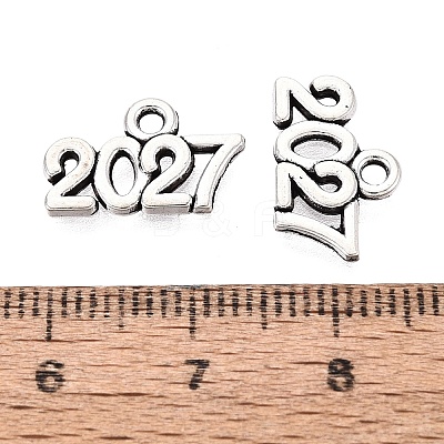 New Year's Day Tibetan Style Alloy Charms FIND-N014-01AS-1