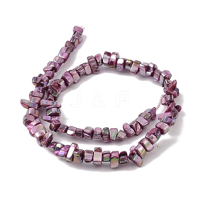 Natural Freshwater Shell Beads Strands BSHE-H018-07F-1