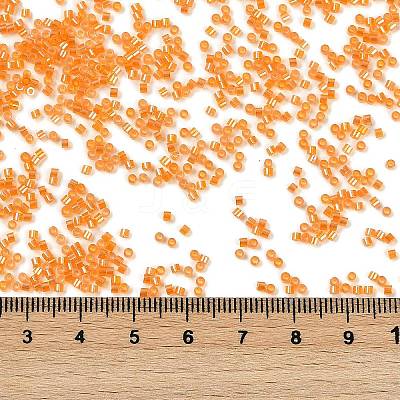 Electroplate Glass Seed Beads SEED-H003-10B-1