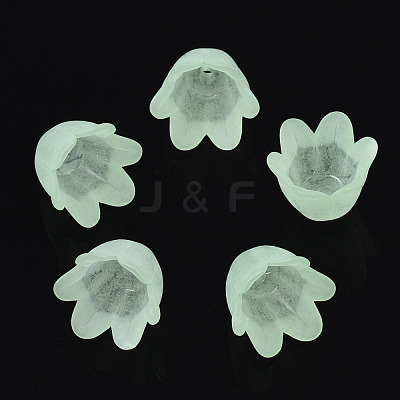Transparent Acrylic Bead Caps FACR-N005-002C-1