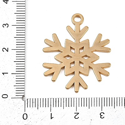 304 Stainless Steel Pendants LS-STAS-G363-04G-1