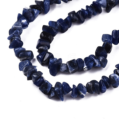 Natural Sodalite Beads Strands X-G-S364-080-1