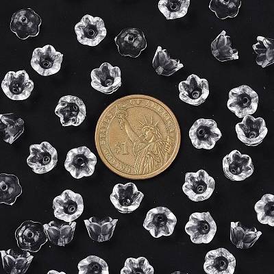 Transparent Acrylic Beads LS-X-PL548-1-1