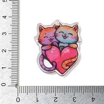 Printed Acrylic Pendants AC-CBADA31-01-1