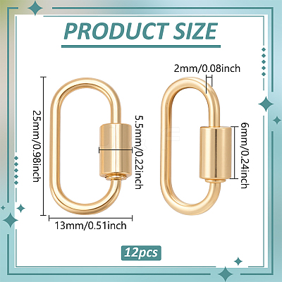 12Pcs Alloy Screw Carabiner Lock Charms FIND-UN0010-22G-1