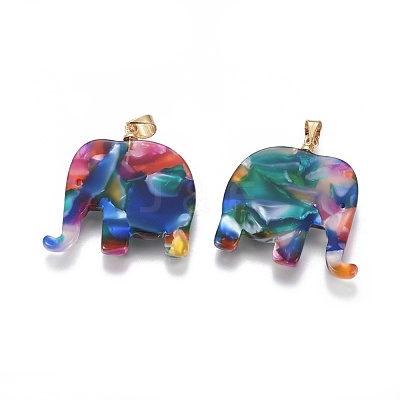 Resin Pendants KK-G361-01G-1