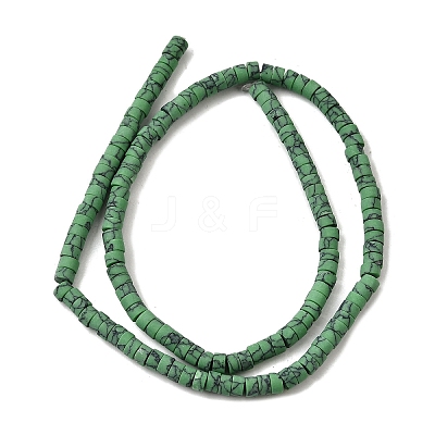 Dyed Synthetic Turquoise Beads Strands G-Z089-A04-J-1
