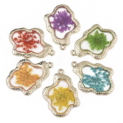 Epoxy Resin Pendants RESI-T045-028-1