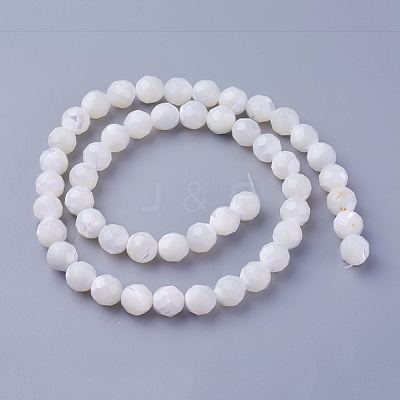 Shell Beads Strands SSHEL-E571-38-8mm-1