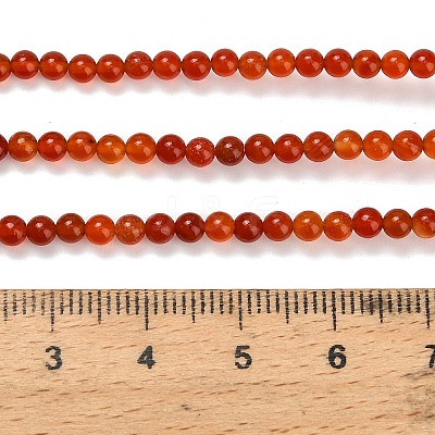 Natural Carnelian Beads Strands G-Z116-A22-3mm-1