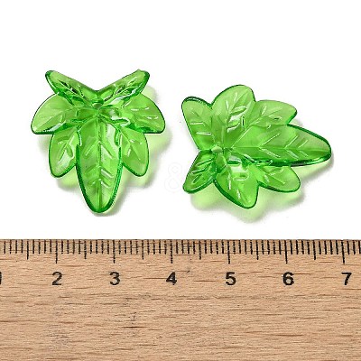 Transparent Acrylic Pendant OACR-E039-69D-1