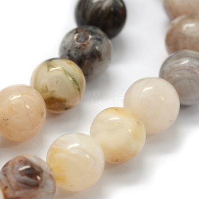Natural Bamboo Leaf Agate Beads Strands G-G763-03-10mm-1