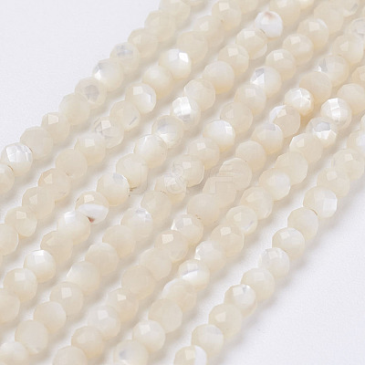Natural Shell Beads Strands G-E354-03-1