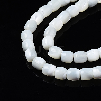 Natural Trochid Shell/Trochus Shell Beads Strands SSHEL-N034-121-B01-1