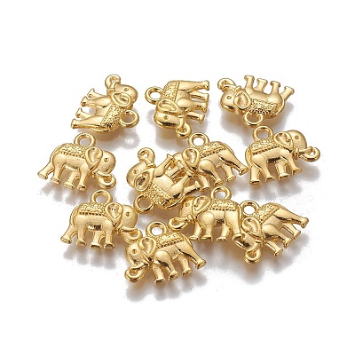 Tibetan Style Alloy Charms X-PALLOY-P220-01G-NR-1