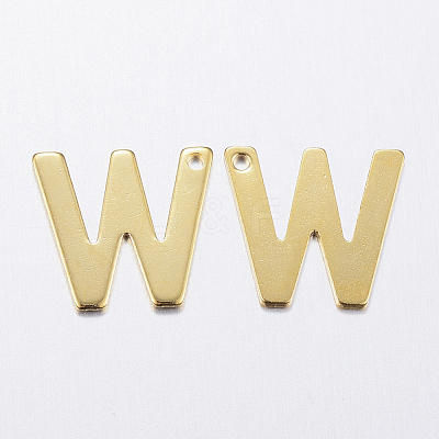 304 Stainless Steel Charms STAS-P141-W-1