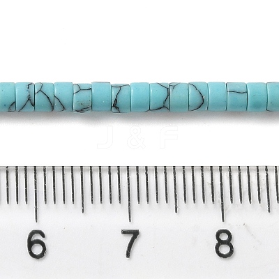 Synthetic Turquoise Beads Strands G-K368-A05-02-1