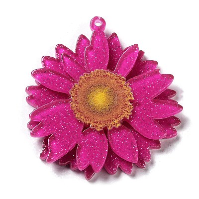 Printed Transparent Acrylic Pendants SACR-P029-B02-1