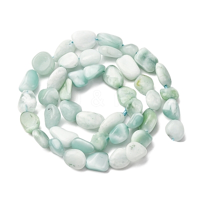 Natural Glass Beads Strands G-K395-A02-02-1