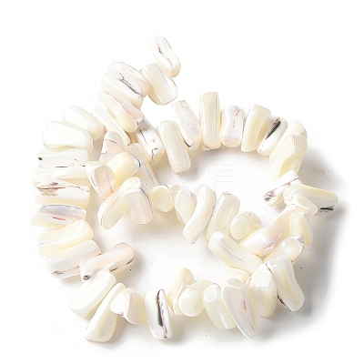 Dyed Natural Trochus Shell Beads Strands SSHEL-C013-09J-1
