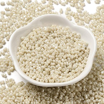 Glass Seed Beads SEED-K009-02A-08-1