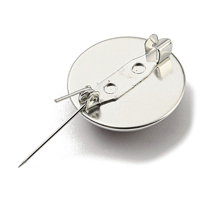 Round Glass Brooches FIND-Q096-01G-1