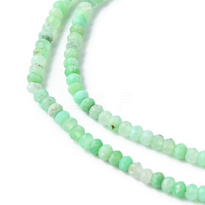 Natural Chrysoprase Beads Strands G-F748-X02-1