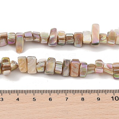 Natural Freshwater Shell Beads Strands BSHE-H018-07A-1
