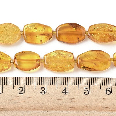 Natural Amber Beads Strands G-L095-C01-05-1