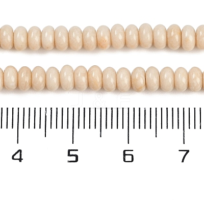 Natural Fossil Beads Strands G-K343-C24-01-1