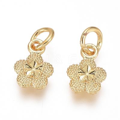 Electroplated Alloy Charms X-PALLOY-G267-08G-1
