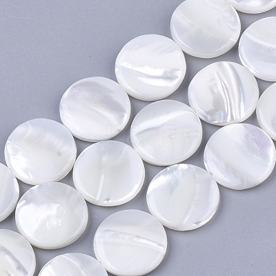 Trochus Shell Beads Strands SHEL-T016-11-1
