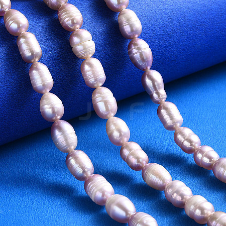 Natural Cultured Freshwater Pearl Beads Strands PEAR-N012-07H-1